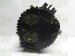  CA1156 | REGENERACJA | ALTERNATOR  0986041471 [zlec.74576] CA1156R 986041471